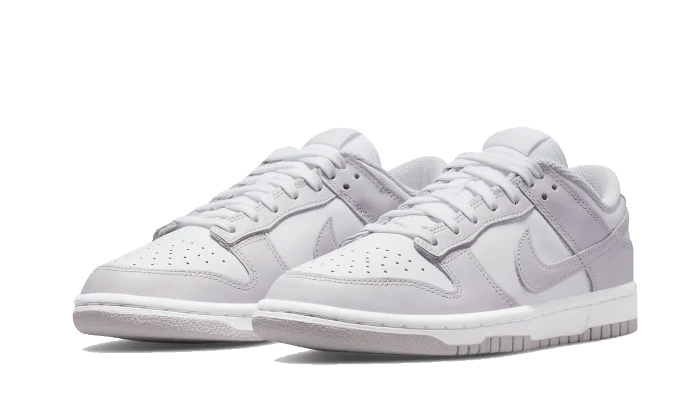 Nike Dunk Low Venice (Women's)